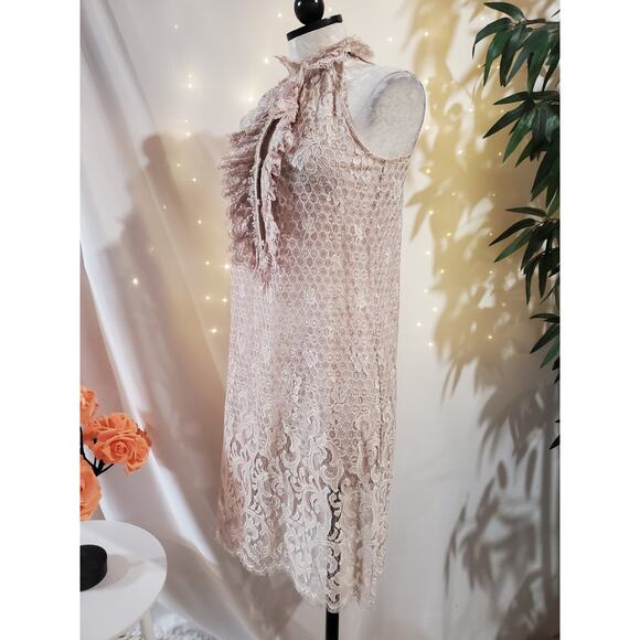 Diane von Furstenberg Olvida Lace Ruffle Silk Lined Dress Size 4 Beige Victorian - Picture 5 of 14